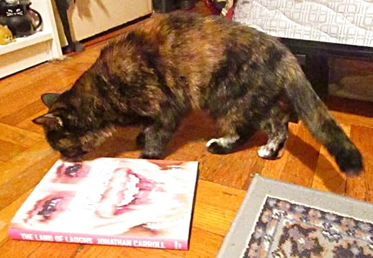  photo IMG_8442_zpsv9ze9jaz.jpg