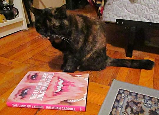  photo IMG_8443_zpsvonz2s4o.jpg