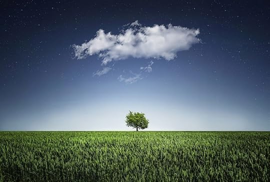 tree-736887_640