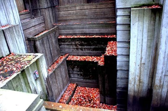 freeway waterfalls.jpg