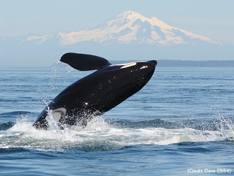 Photo: Canada should be a leader in protecting nature
