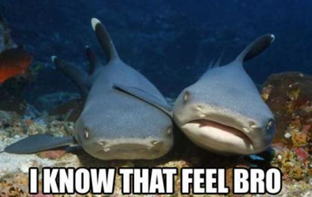 knowthatfeel