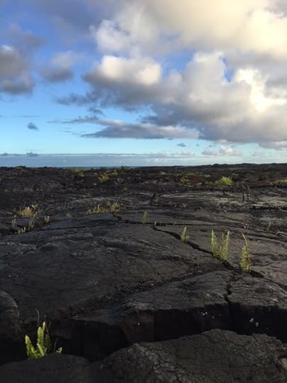 Lava Fields on Hawaii