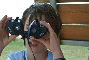 binoculars