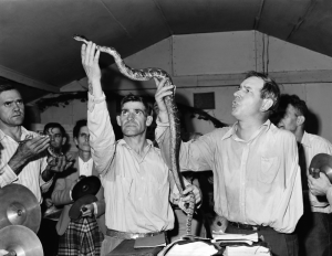 800px-snakehandling