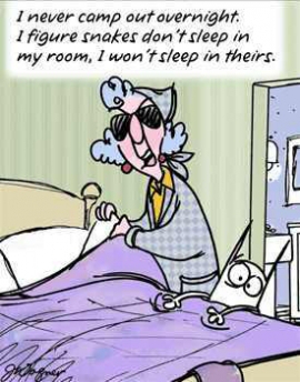 funny-camping-quotes