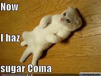 food-coma