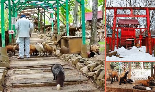 Japan-Fox-Villiage-Header