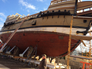 mayflower-2-b
