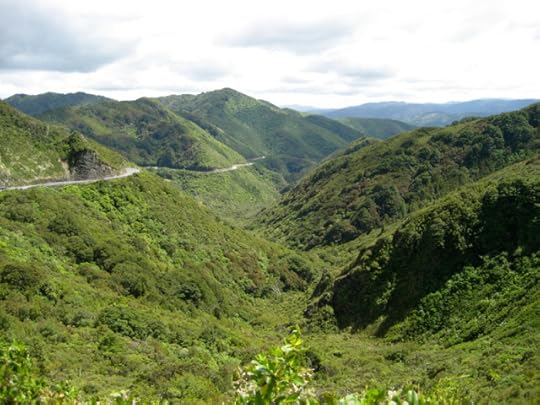 Rimutaka ranges. Photo by Duane Weller on FLickr, CC lic.jpg