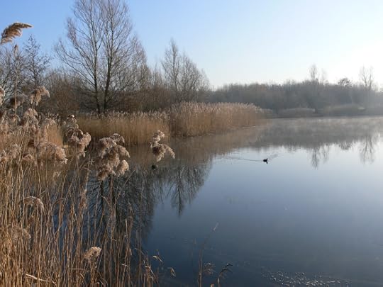 photos-jan-to-mar-2012-047