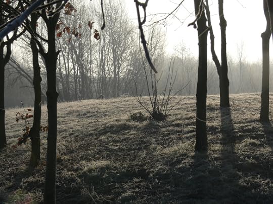 photos-jan-to-mar-2012-005