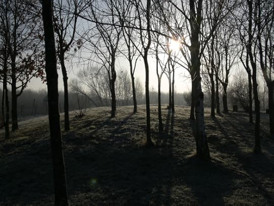 photos-jan-to-mar-2012-012