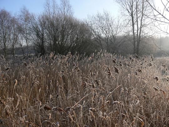 photos-jan-to-mar-2012-030