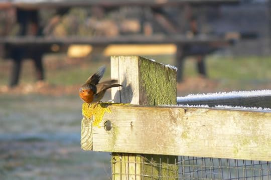 photos-jan-to-mar-2012-035-2