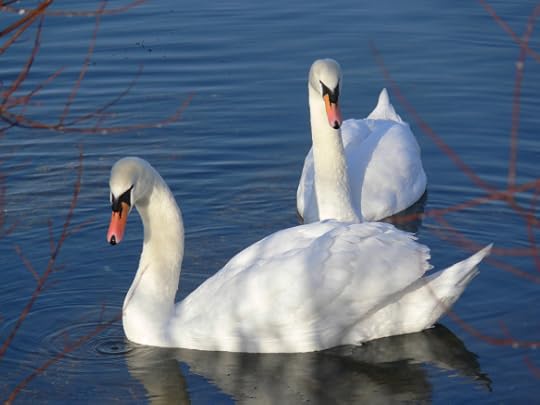 photos-jan-to-mar-2012-107