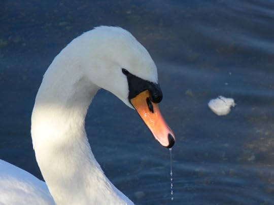 photos-jan-to-mar-2012-120