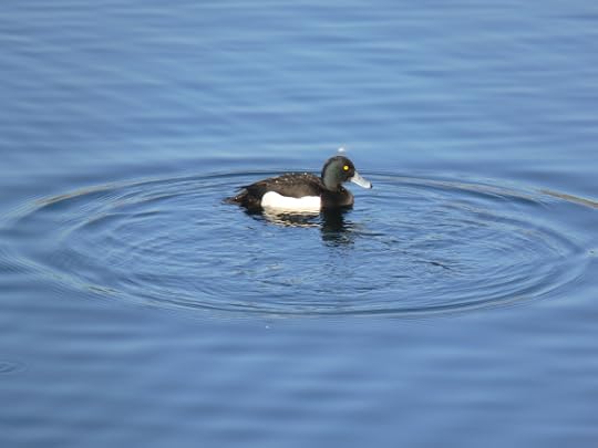 photos-jan-to-mar-2012-110