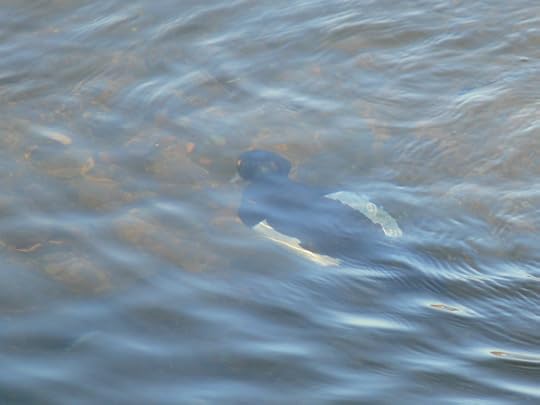 photos-jan-to-mar-2012-129-2