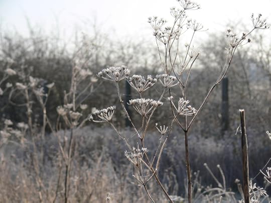 photos-jan-to-mar-2012-067