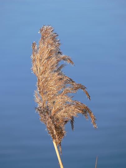 photos-jan-to-mar-2012-109