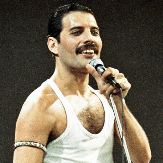 03-freddie-mercury_w529_h529