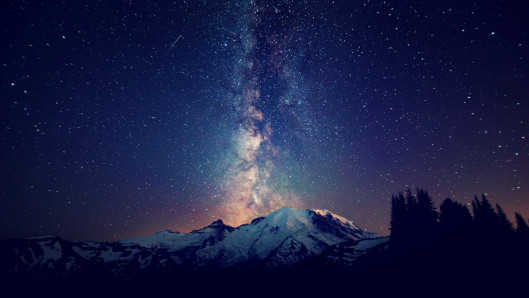 Tower of Night