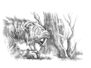 chapter-6-illustration-smilodon