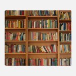 bookshelf_throw_blanket