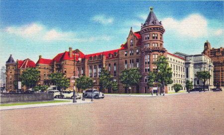 museumofnaturalhistorypostcard