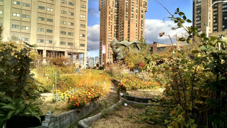 bellevuegardenpathssculpture