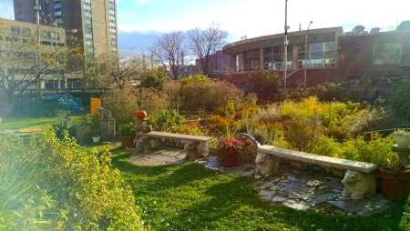 bellevuegardenfacinghunter