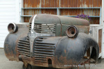Dodge