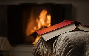 Image result for book by a fire