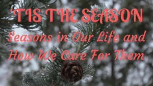 seasons-blog