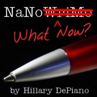 NaNo What Now square