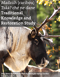 Photo: Caribou TEK and Restoration Study