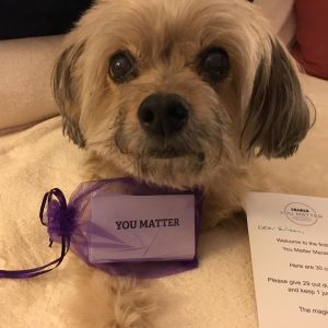 Looking Back at the You Matter Marathon