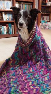 Marly Bird 2016 Popular Poncho Crochet Along