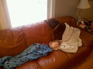 droid-download-11-28-2011-394