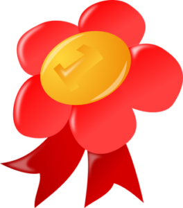 teaching-your-feathered-friend-some-tricks3