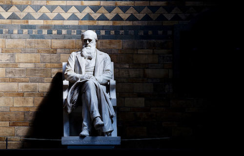 Charles_Darwin_Scientific_Badass_4896956109.jpg