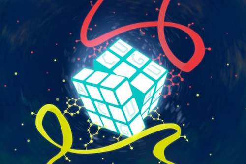 MIT-Cell-Stress-1_0.jpg