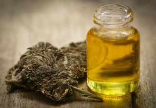 Medicinal cannabis with extract oil in a bottle