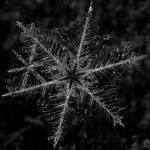 Creative Commons from Margus Kulden on Flickr