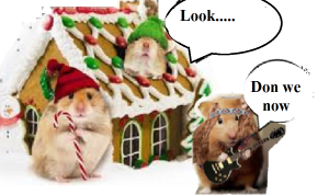 zmed-bbbbbbbubb290909