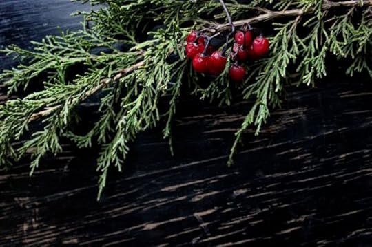 holiday-5-photo-for-blog