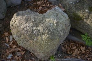 heart-1347549_640