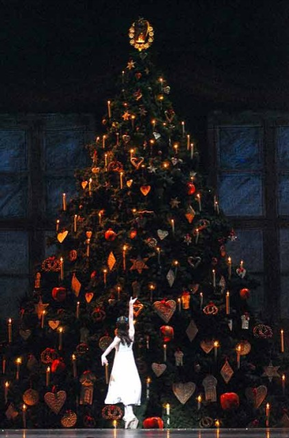 fd654-clara-tree