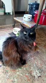 IMG_20151004_092521681